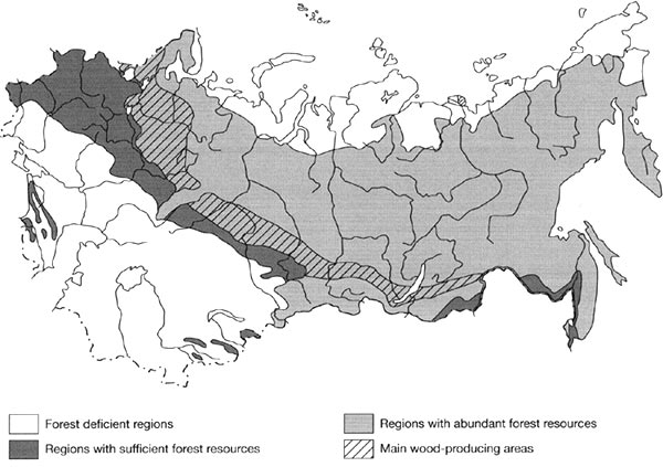 Forest resources of Northern Eurasia