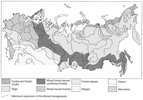 Vegetation in the late Pleistocene interglacial optimum