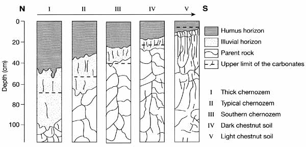 Zonal variations in properties of soils