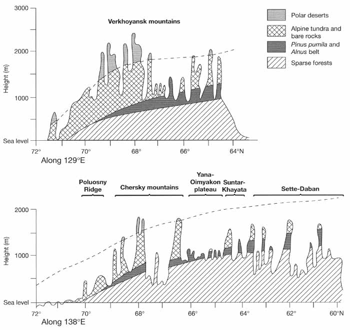 Altitudinal vegetation sequences in the mountains of north-eastern Asia