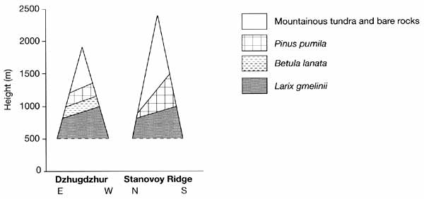 Vertical vegetation sequences in the Dzhugdzhur and the Stanovoy Ridges