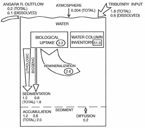 Box diagram of silica mass balance and internal cycling. Fluxes are expressed as million tonnes of silica per annum and water column inventory as million tonnes of silica