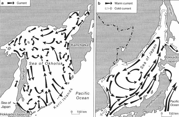 Sketch maps of the Sea of Okhotsk and Sea of Japan